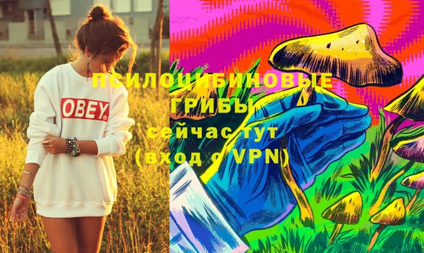 МДМА Козловка