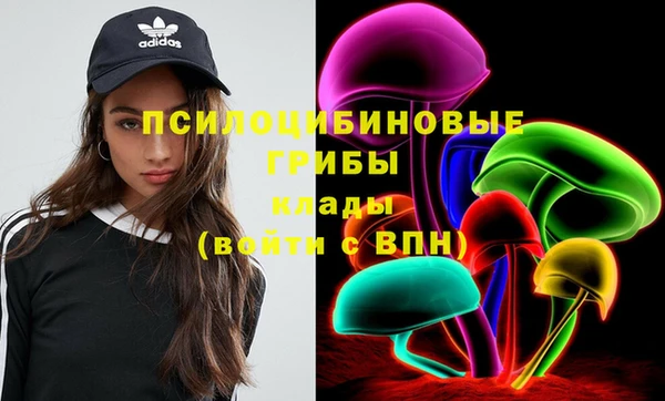 apvp Костерёво