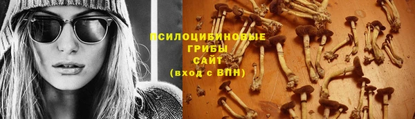 MDMA Premium VHQ Козельск